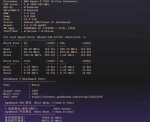 BageVM 英国 VPS 测评：高速国际互联与流媒体解锁表现解析-VPS主机小镇