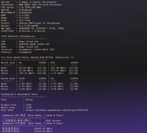 BageVM：新加坡 VPS 测评：高性能硬件与高速国际互联体验-VPS主机小镇