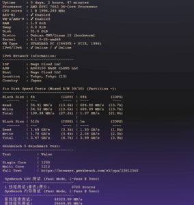 BageVM 日本 VPS 测评：高速带宽、流媒体解锁与性能体验分享-VPS主机小镇