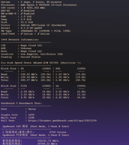 BageVM：美国洛杉矶 VPS 评测：低价入门，流媒体解锁与国际互联体验-VPS主机小镇