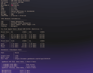 Evoxt：马来西亚吉隆坡VPS测评——EPYC强劲性能、NVMe高速I/O与原生IP全面解锁表现出色-VPS主机小镇